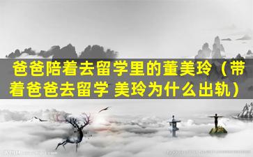 爸爸陪着去留学里的董美玲（带着爸爸去留学 美玲为什么出轨）